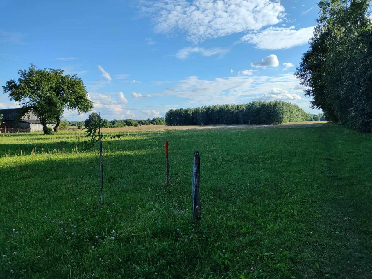 Działka budowlana Trzciniec. Zdjęcie 6