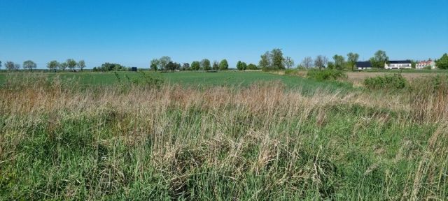Działka budowlana Jankowice. Zdjęcie 1