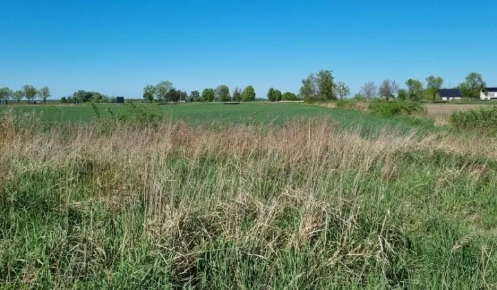 Działka budowlana Jankowice