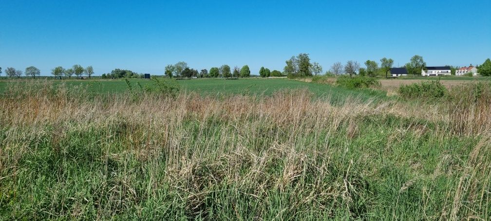 Działka budowlana Jankowice