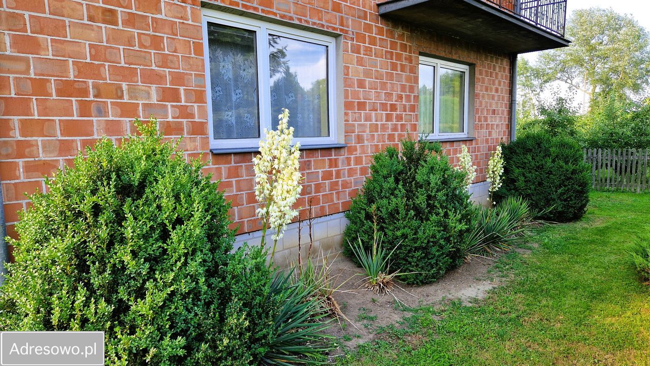 dom wolnostojący, 4 pokoje Bogoria Skotnicka. Zdjęcie 13