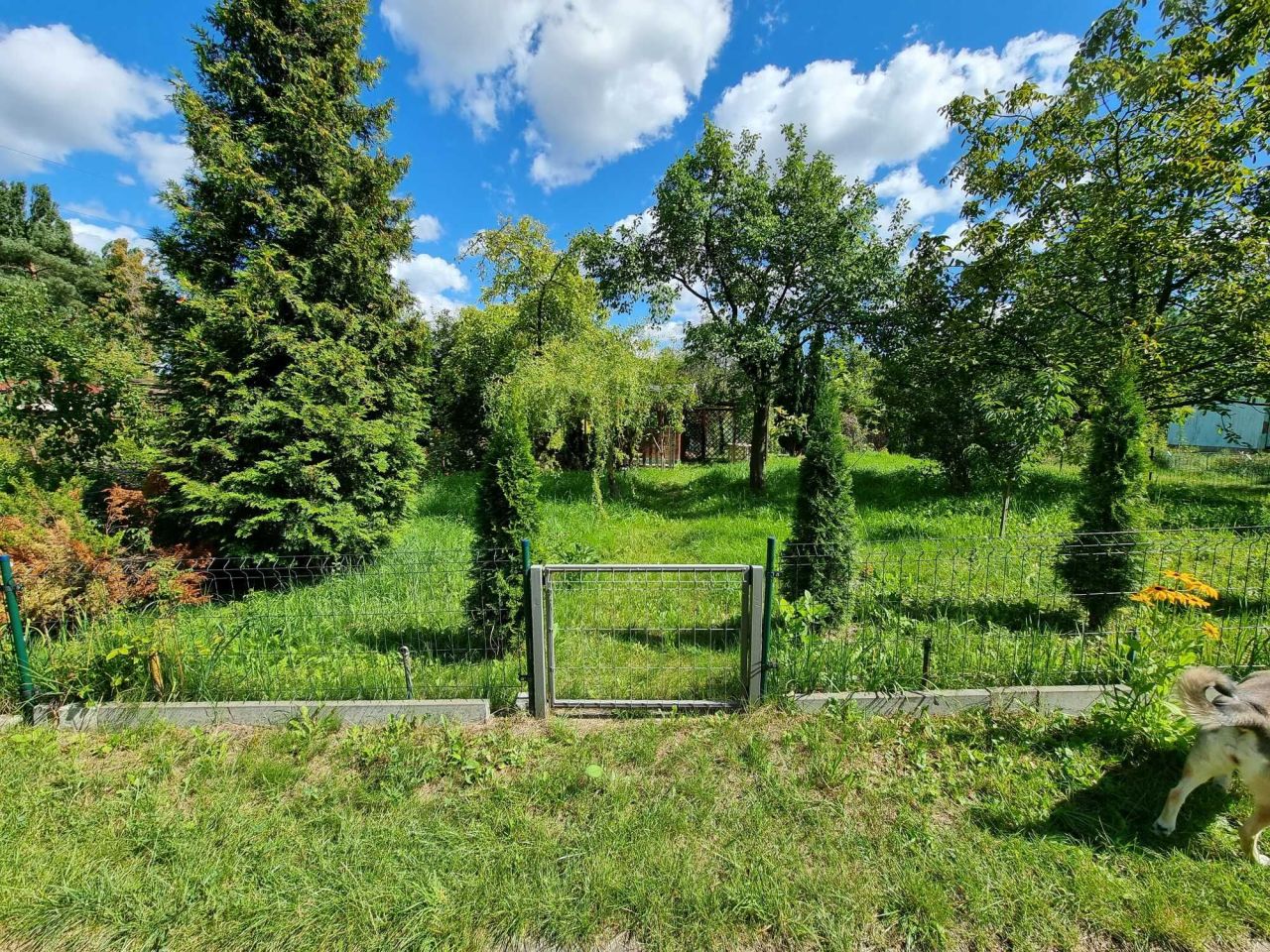 Działka rod Łódź Śródmieście. Zdjęcie 5