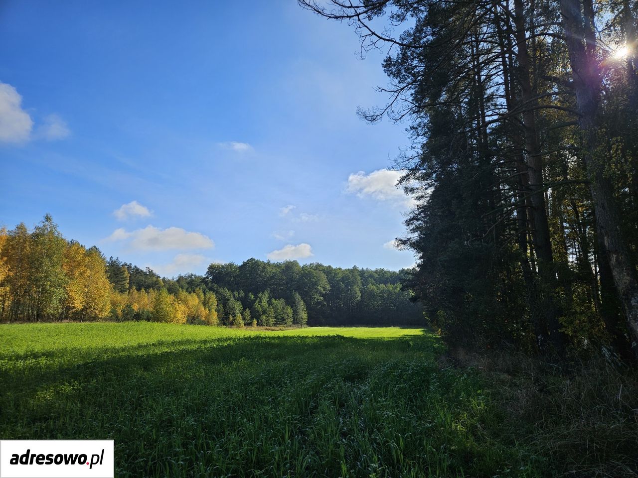Działka budowlana Pomigacze, ul. Kwiatowa. Zdjęcie 20