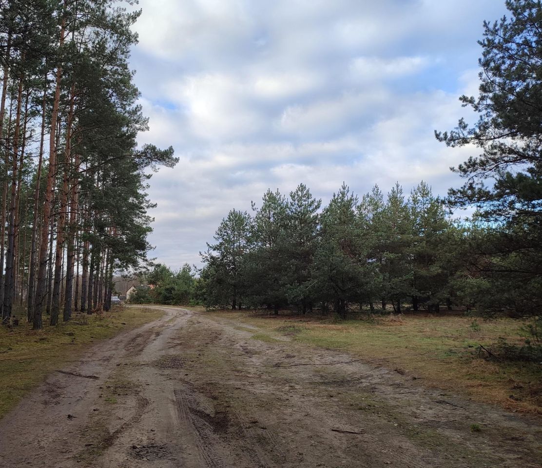 Działka rolna Obręb. Zdjęcie 5