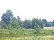 Działka rolna Morzyczyn Włościański. Zdjęcie 3