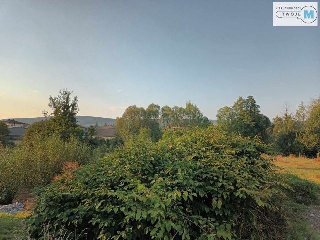 Działka rekreacyjna Bieliny. Zdjęcie 13