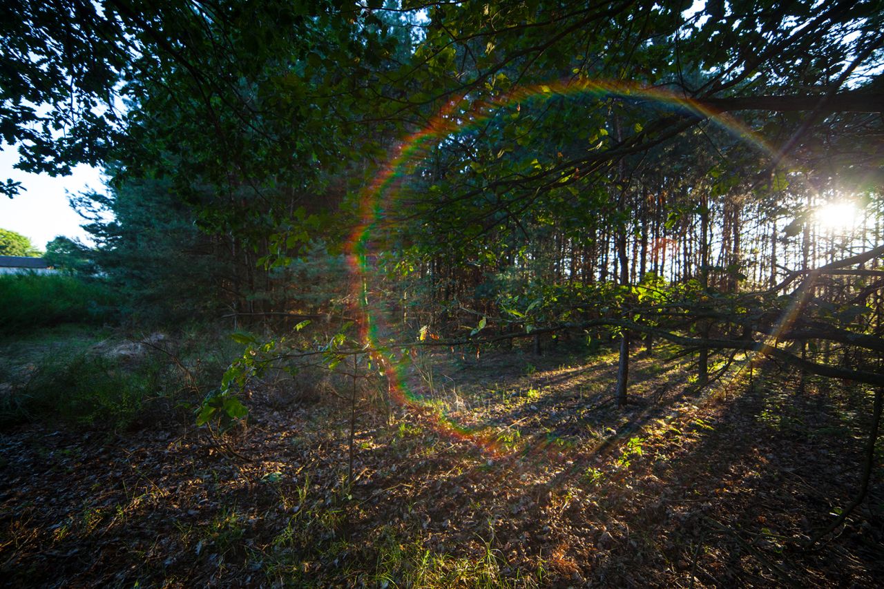 Działka budowlana Celiny. Zdjęcie 16