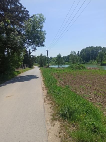 dom wolnostojący Szwelice. Zdjęcie 3