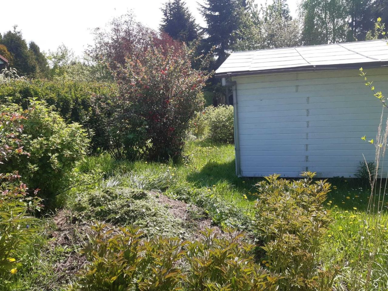 Działka rod Krosno. Zdjęcie 4