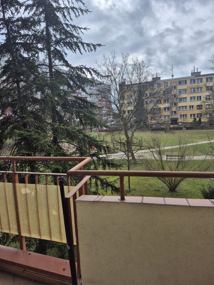 Mieszkanie 3-pokojowe Legnica. Zdjęcie 3