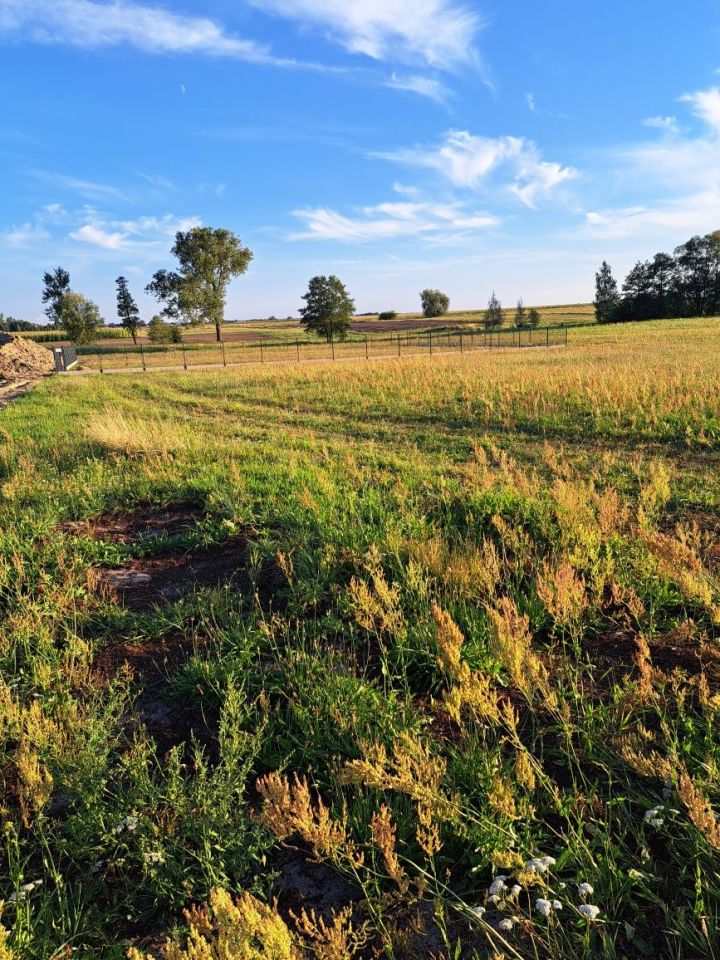 Działka budowlana Ptaszkowice. Zdjęcie 4