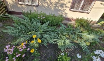 dom wolnostojący, 3 pokoje Ksawerów Stary