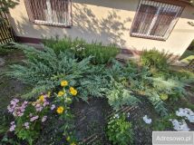 dom wolnostojący, 3 pokoje Ksawerów Stary. Zdjęcie 1