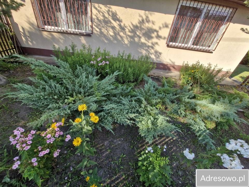 dom wolnostojący, 3 pokoje Ksawerów Stary. Zdjęcie 2