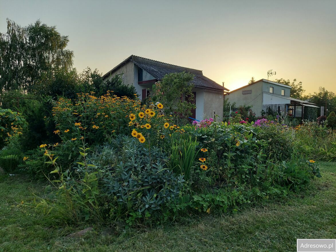 Działka rod Śrem, ul. Józefa Chełmońskiego. Zdjęcie 10