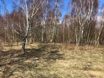 Działka budowlana Jazy. Zdjęcie 3