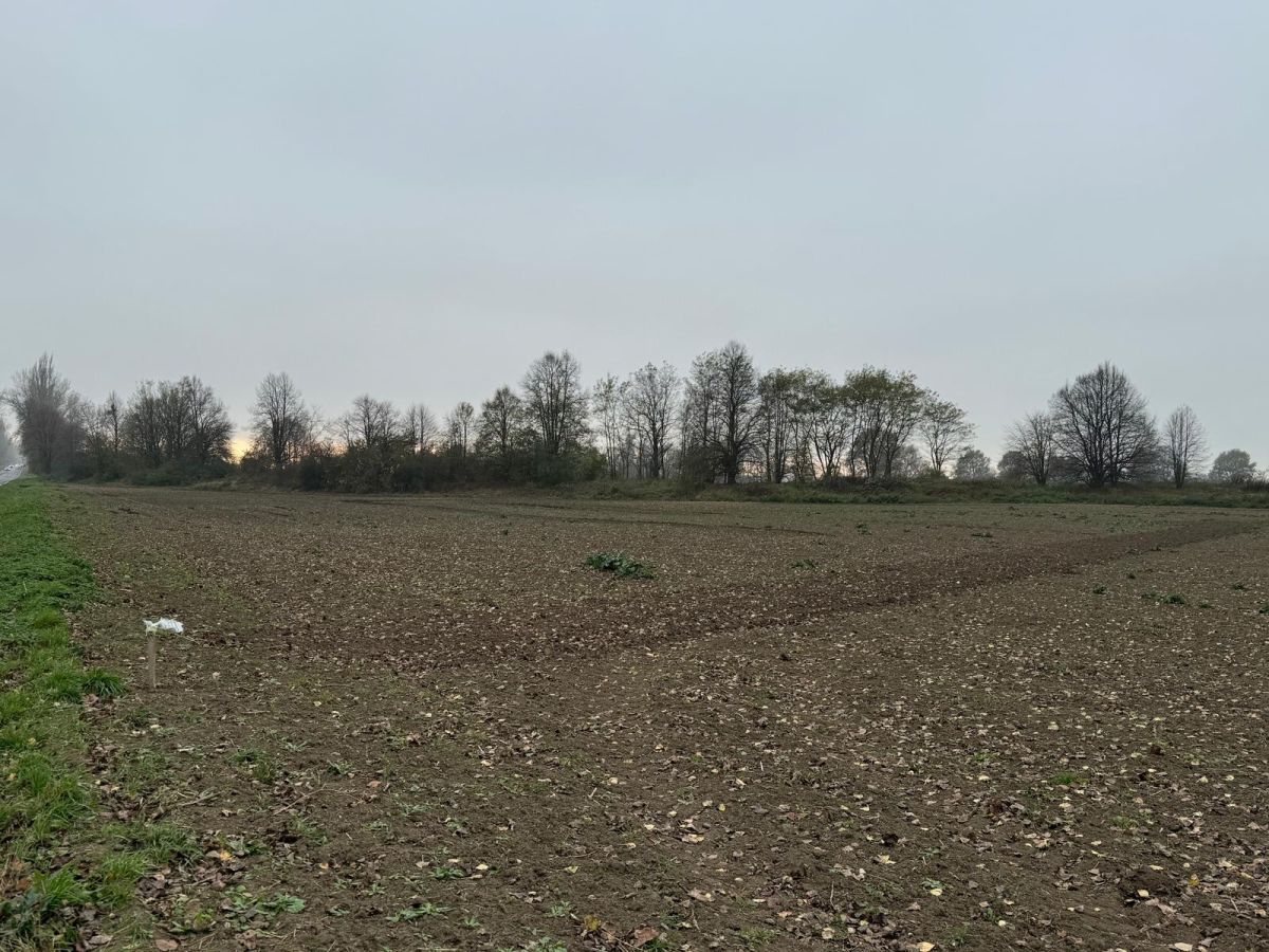 Działka inwestycyjna Mirosławice. Zdjęcie 6