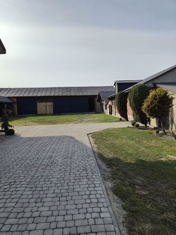 gospodarstwo, 7 pokoi Kumów Majoracki, Kumów Majoracki. Zdjęcie 2