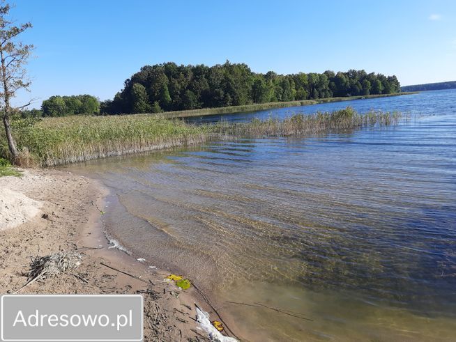 Działka rolno-budowlana Taczki. Zdjęcie 6