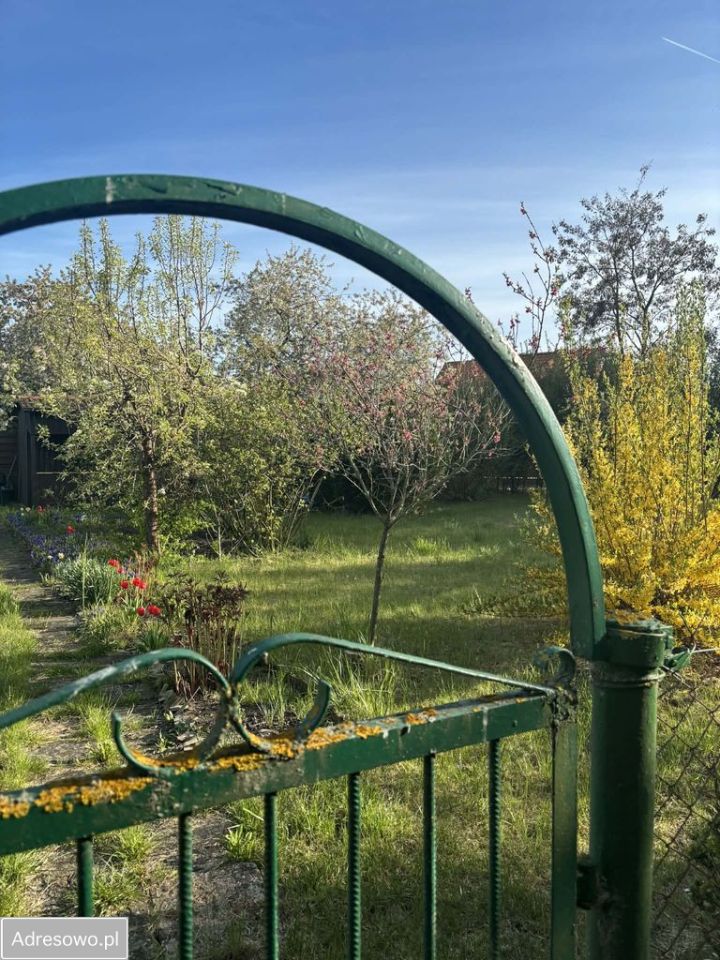 Działka rod Pyrzyce, ul. Niepodległości. Zdjęcie 7