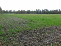 Działka inwestycyjna Zielona Góra, ul. Zielonogórska. Zdjęcie 4
