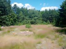 Działka budowlana Cieszanowice. Zdjęcie 2