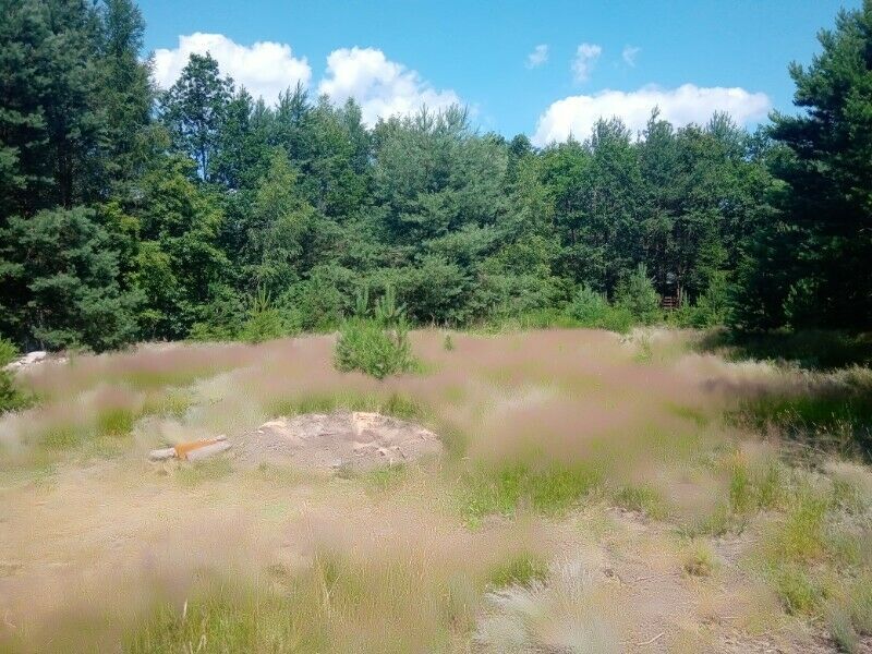 Działka budowlana Cieszanowice. Zdjęcie 3