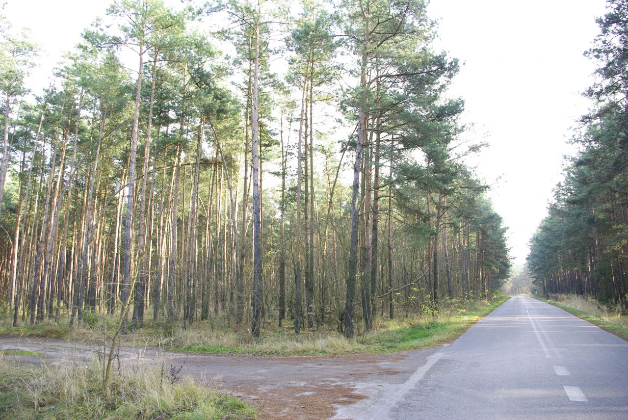 Działka budowlana Ostrowy nad Okszą Zadworze, ul. Zadworna. Zdjęcie 4