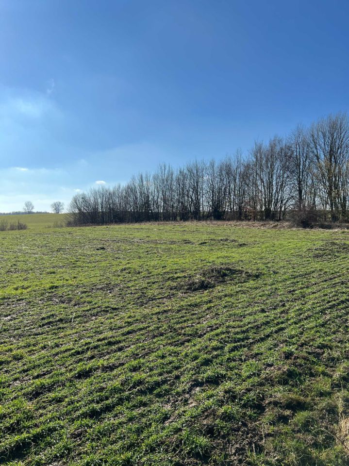 Działka budowlana Nowa Różanka. Zdjęcie 6