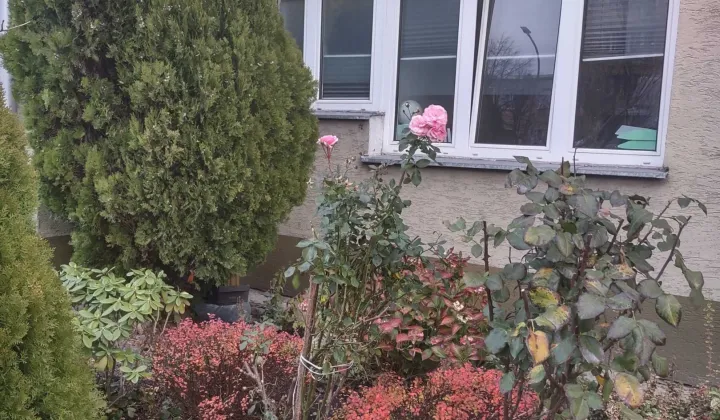 Mieszkanie 2-pokojowe Piaseczno, ul. Wojska Polskiego