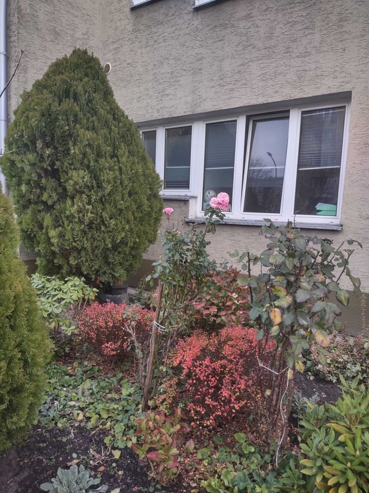 Mieszkanie 2-pokojowe Piaseczno, ul. Wojska Polskiego