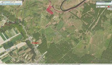 Działka rolna Pniewo