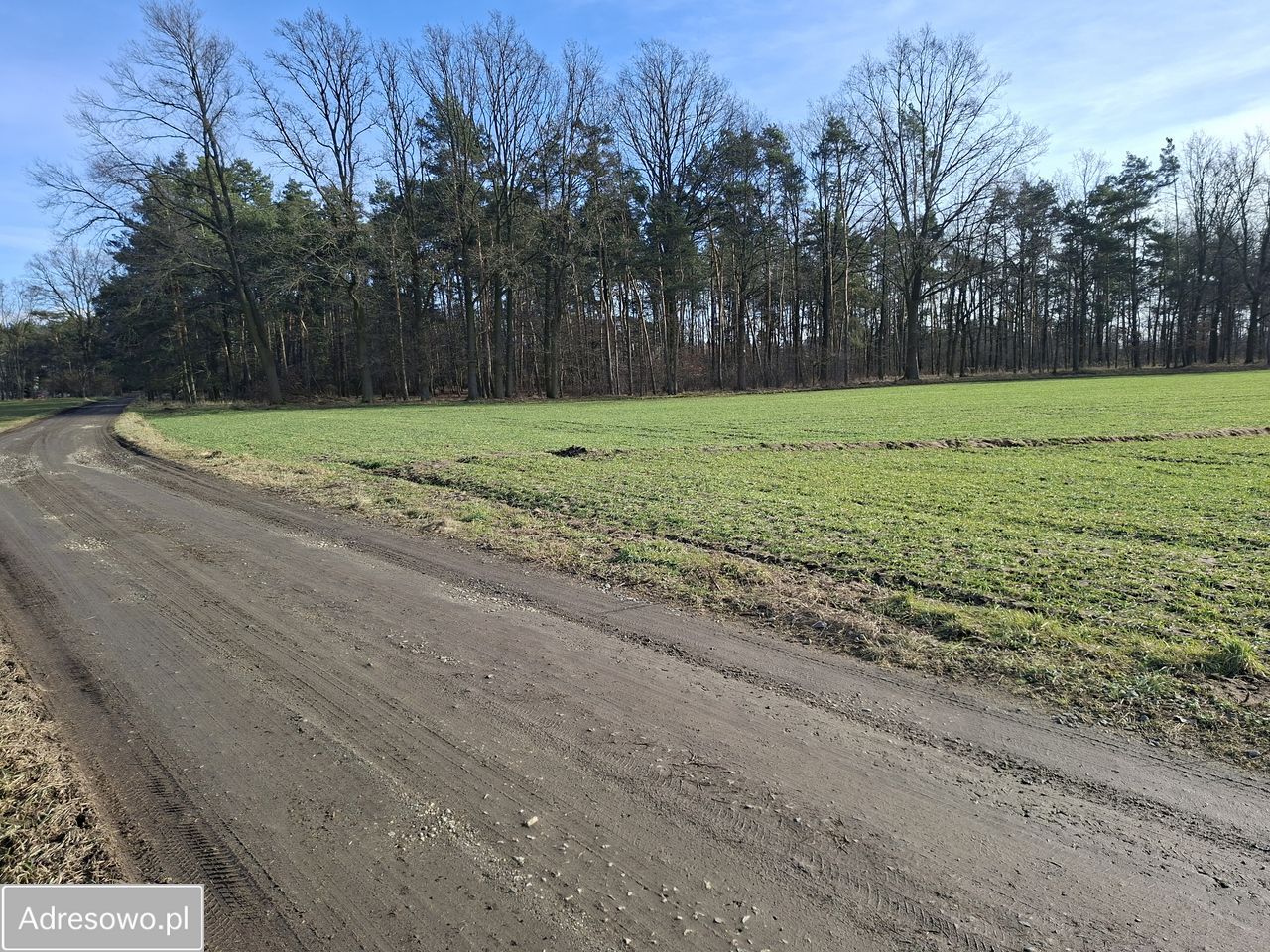 Działka rolna Zawada, ul. Luboszycka. Zdjęcie 8