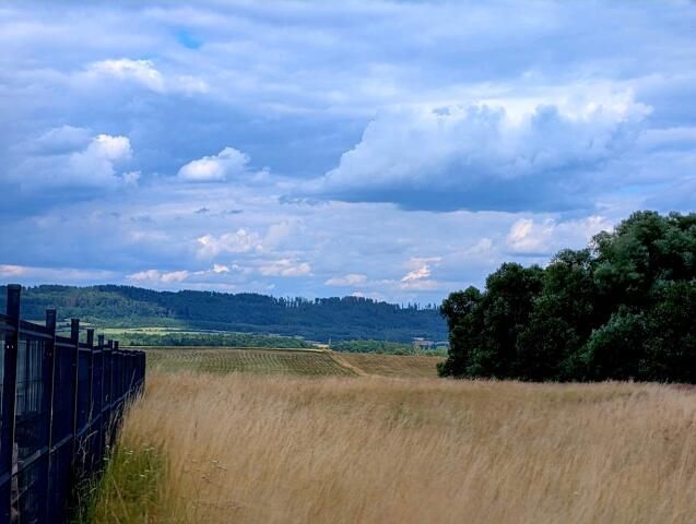 Działka budowlana Gorzanów Muszyn. Zdjęcie 10