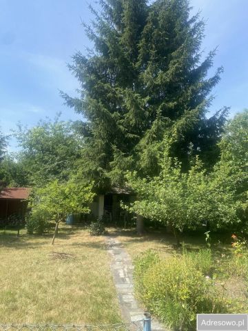 Działka rod Świdnica. Zdjęcie 1