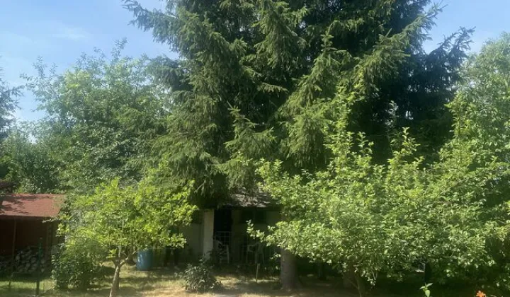 Działka rod Świdnica