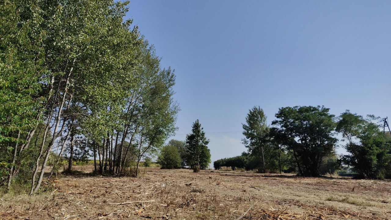 Działka budowlana Jabłonna Pierwsza. Zdjęcie 6