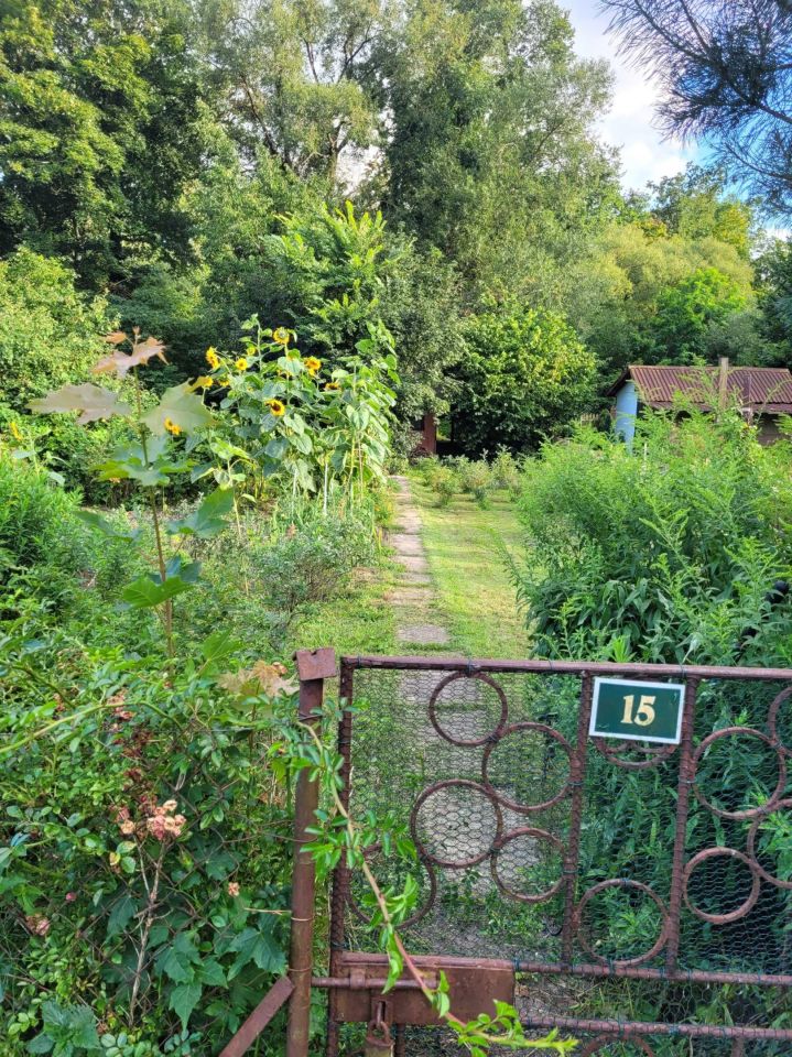 Działka rod Szczecin Klucz, ul. Polarna. Zdjęcie 5