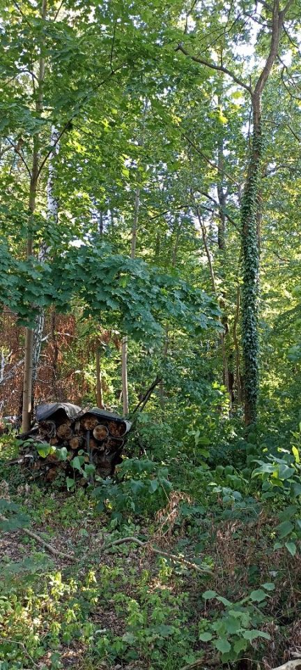 Działka leśna Zielonka, ul. Dziennikarska