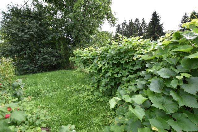 Działka budowlana Krzemienica. Zdjęcie 7