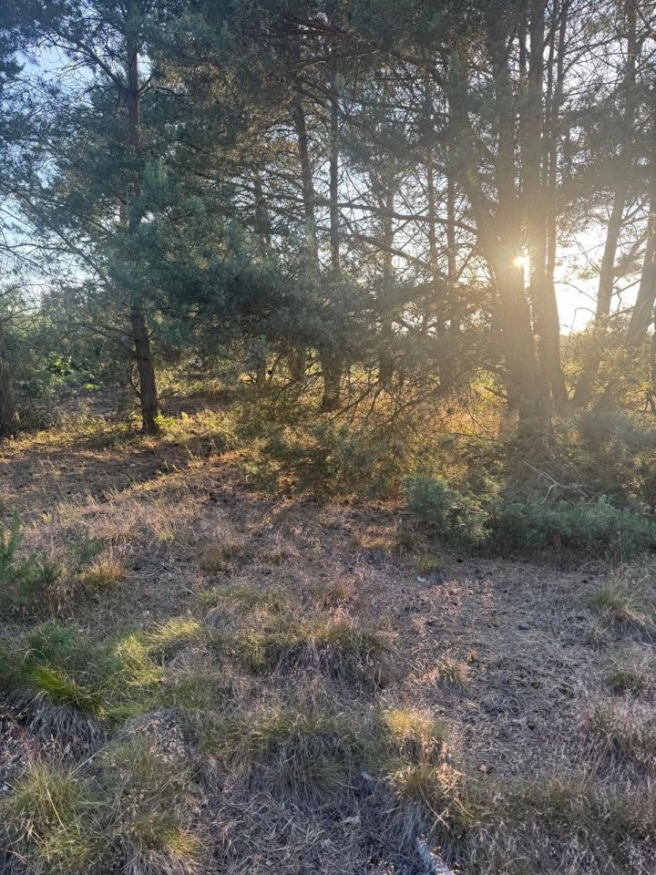 Działka budowlana Łośno. Zdjęcie 5