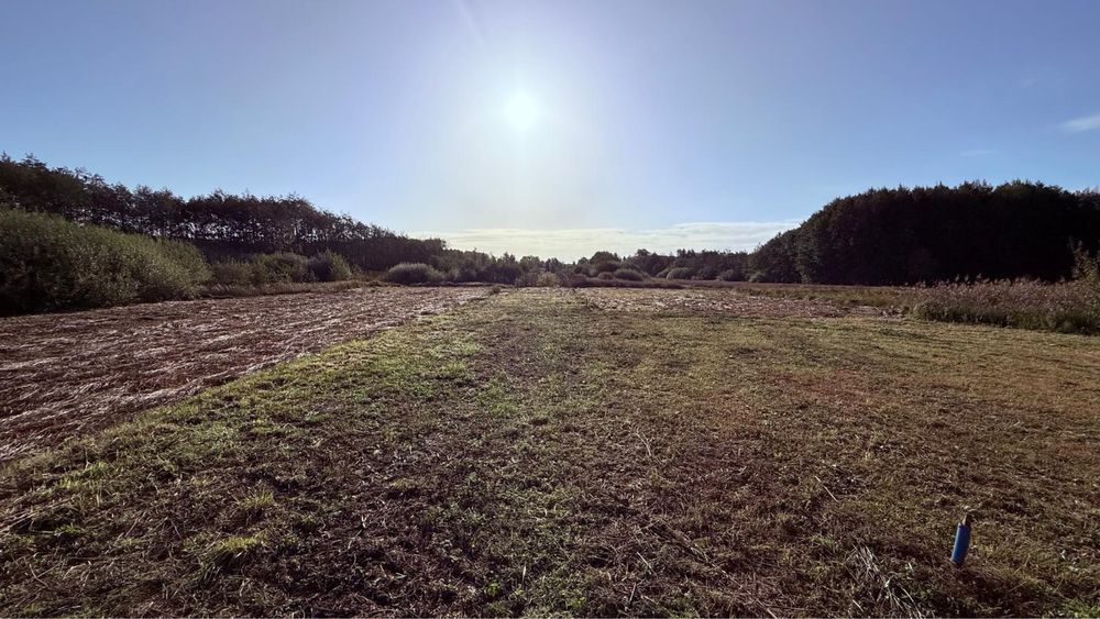 Działka budowlana Boszkowo. Zdjęcie 3