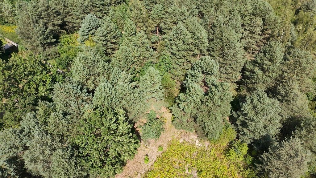 Działka budowlana Kady. Zdjęcie 4