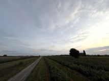 Działka rolna Sienno. Zdjęcie 4