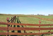 Działka rekreacyjna Bogacko. Zdjęcie 4