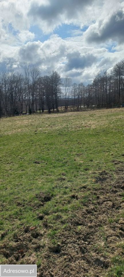 Działka budowlana Niedamirów