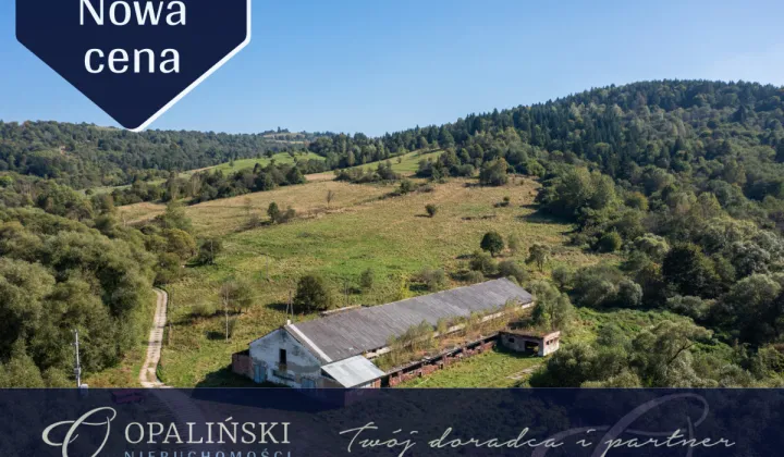 Lokal Krościenko