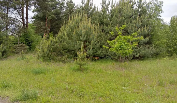 Działka budowlana Michałów