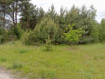 Działka budowlana Michałów