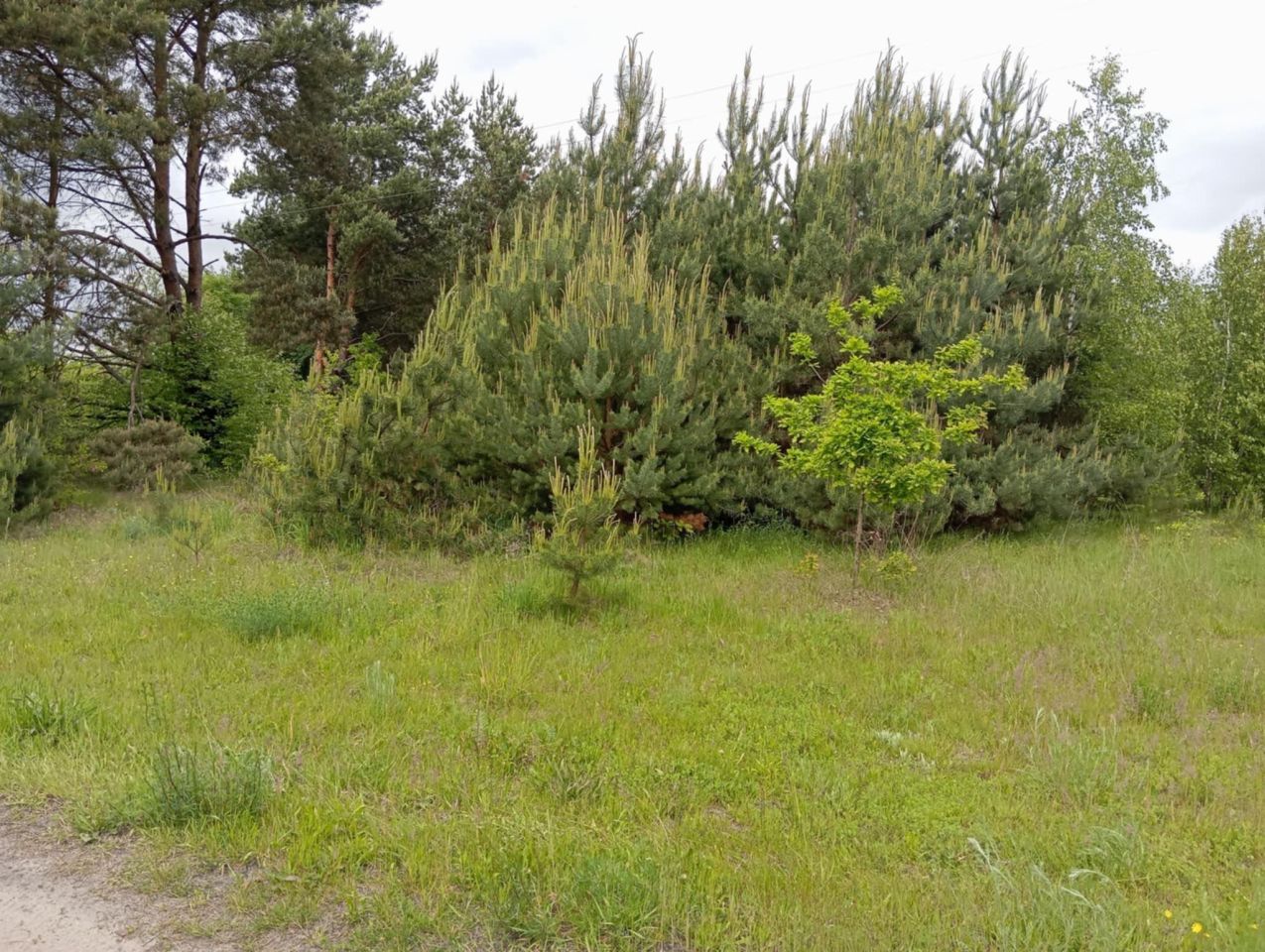 Działka budowlana Michałów